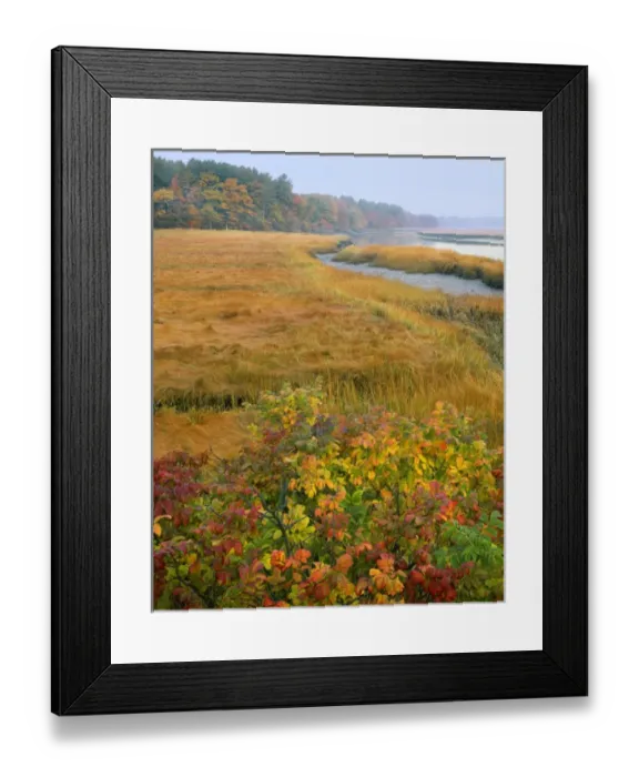 Framed Print : USA, Maine, Kennebunkport. Tidal marsh on the Mousam River Framed Print : USA, Maine, Kennebunkport. Tidal marsh on the Mousam River