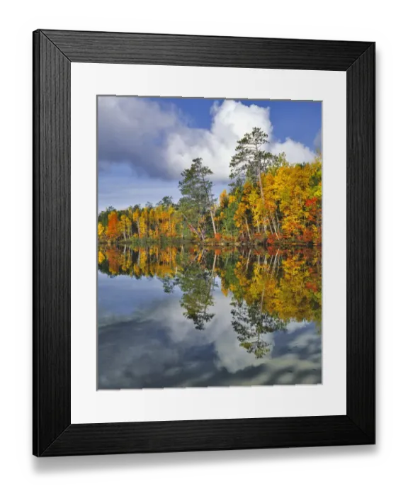Framed Print : USA, Maine. Autumn scenic of Upper Togue Pond Framed Print : USA, Maine. Autumn scenic of Upper Togue Pond