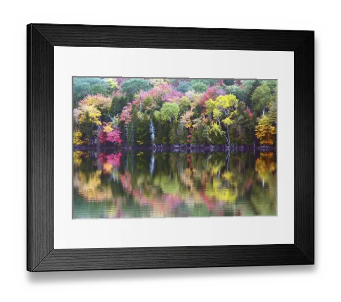 Framed Print : autumn trees; reflection; Great Long Pond; Somesville; Mount desert Island; Maine; USA Framed Print : autumn trees; reflection; Great Long Pond; Somesville; Mount desert Island; Maine; USA