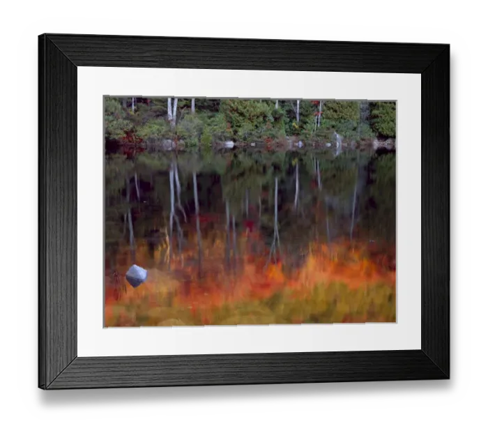 Framed Print : Acadia National Park, Maine. USA. Forest in autumn reflected in Bubble Pond Framed Print : Acadia National Park, Maine. USA. Forest in autumn reflected in Bubble Pond