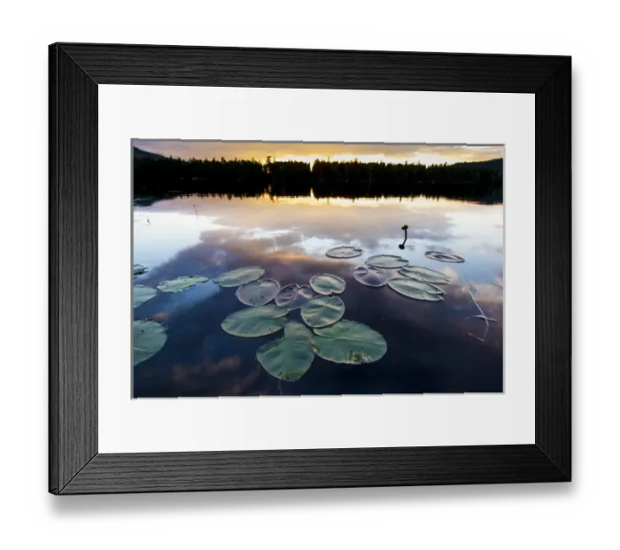 Framed Print : Water lilies and cloud reflections on Lang Pond in Maines Northern Forest Framed Print : Water lilies and cloud reflections on Lang Pond in Maines Northern Forest
