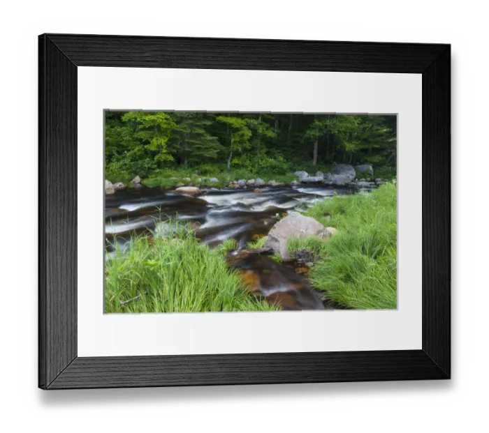 Framed Print : Cold Stream in Maines Northern Forest. West Forks Framed Print : Cold Stream in Maines Northern Forest. West Forks