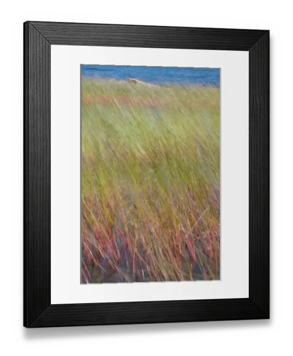 Framed Print : North America, USA, Maine, Acadia National Park Framed Print : North America, USA, Maine, Acadia National Park