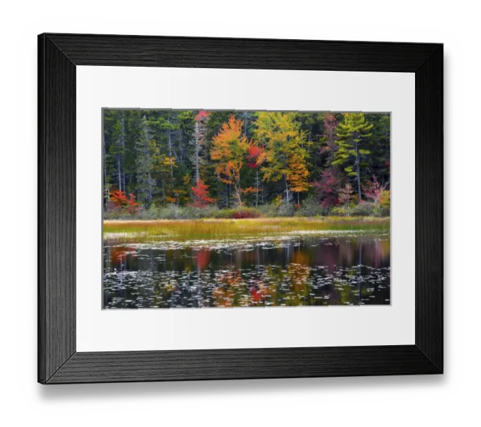Framed Print : autumn, Somes Pond, Somesville, Mount desert Island, Maine, USA Framed Print : autumn, Somes Pond, Somesville, Mount desert Island, Maine, USA