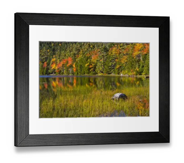 Framed Print : autumn. reflections, Bubble Pond, Acadia National Park, Maine, USA Framed Print : autumn. reflections, Bubble Pond, Acadia National Park, Maine, USA