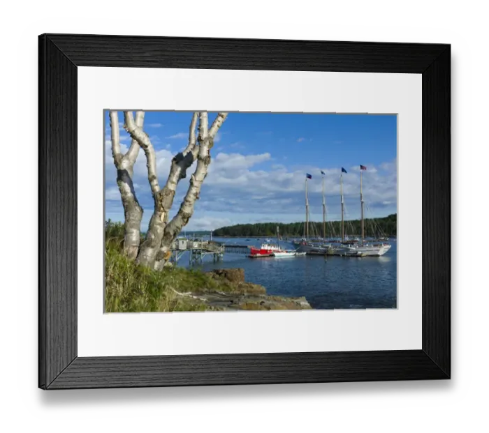 Framed Print : USA, Maine, Mt. Desert Island, Bar Harbor, tall ship, Frenchman Bay, morning Framed Print : USA, Maine, Mt. Desert Island, Bar Harbor, tall ship, Frenchman Bay, morning