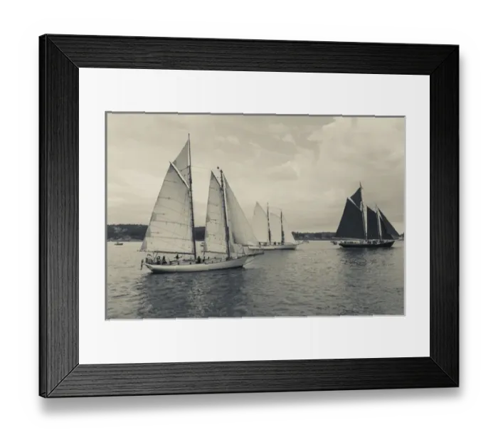 Framed Print : USA, Massachusetts, Gloucester, Schooner Festival, schooners in Gloucester Harbor Framed Print : USA, Massachusetts, Gloucester, Schooner Festival, schooners in Gloucester Harbor