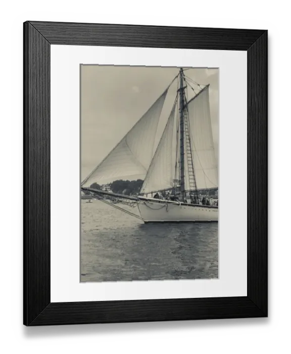 Framed Print : USA, Massachusetts, Gloucester, Schooner Festival, schooners in Gloucester Harbor