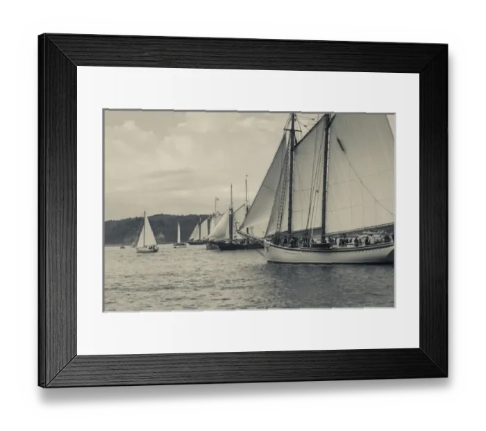 Framed Print : USA, Massachusetts, Gloucester, Schooner Festival, schooners in Gloucester Harbor Framed Print : USA, Massachusetts, Gloucester, Schooner Festival, schooners in Gloucester Harbor