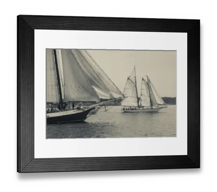 Framed Print : USA, Massachusetts, Gloucester, Schooner Festival, schooners in Gloucester Harbor Framed Print : USA, Massachusetts, Gloucester, Schooner Festival, schooners in Gloucester Harbor