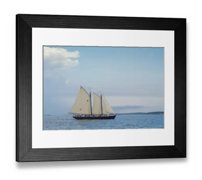 Framed Print : USA, Massachusetts, Gloucester, Schooner Festival, schooners in Gloucester Harbor