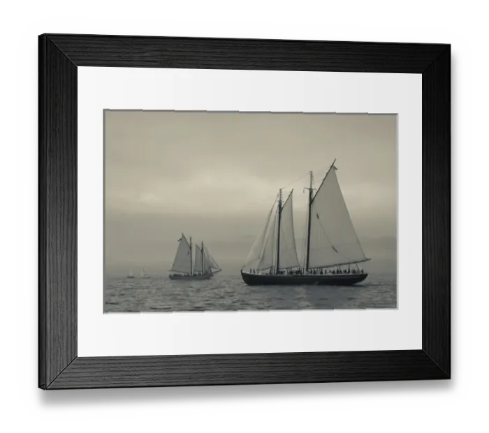 Framed Print : USA, Massachusetts, Gloucester, Schooner Festival, schooners in Gloucester Harbor Framed Print : USA, Massachusetts, Gloucester, Schooner Festival, schooners in Gloucester Harbor