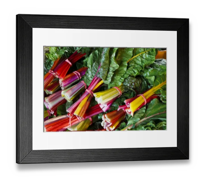 Framed Print : Swiss chard at the Community Supported Agriculture (CSA) pick-up at the Crimson