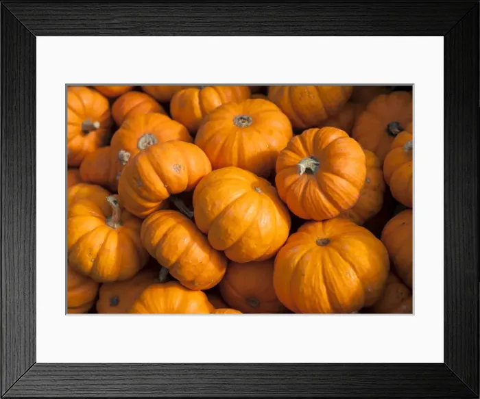 Framed Print : America, Jack Be Little, Massachusetts, New England, Tihonet Village, USA, Wareham