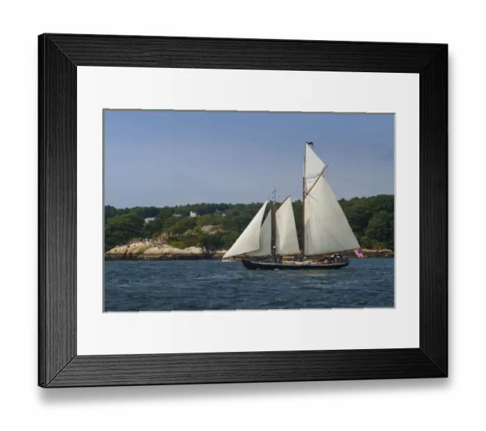 Framed Print : USA, Massachusetts, Cape Ann, Gloucester, Americas Oldest Seaport, Annual Schooner Framed Print : USA, Massachusetts, Cape Ann, Gloucester, Americas Oldest Seaport, Annual Schooner