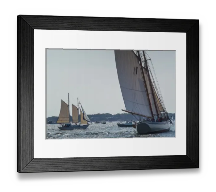 Framed Print : USA, Massachusetts, Cape Ann, Gloucester, Americas Oldest Seaport, Annual Schooner Framed Print : USA, Massachusetts, Cape Ann, Gloucester, Americas Oldest Seaport, Annual Schooner