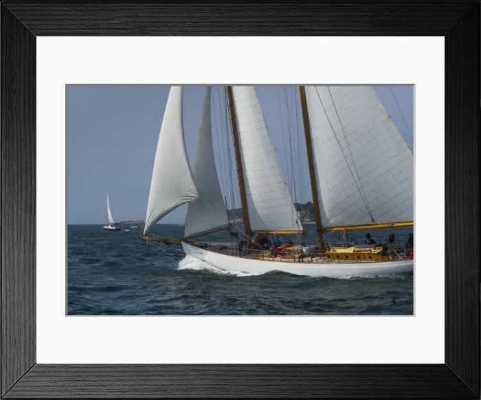 Framed Print : USA, Massachusetts, Cape Ann, Gloucester, Americas Oldest Seaport, Annual Schooner Framed Print : USA, Massachusetts, Cape Ann, Gloucester, Americas Oldest Seaport, Annual Schooner