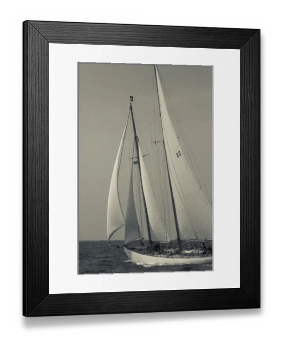 Framed Print : USA, Massachusetts, Cape Ann, Gloucester, Americas Oldest Seaport, Annual Schooner Framed Print : USA, Massachusetts, Cape Ann, Gloucester, Americas Oldest Seaport, Annual Schooner