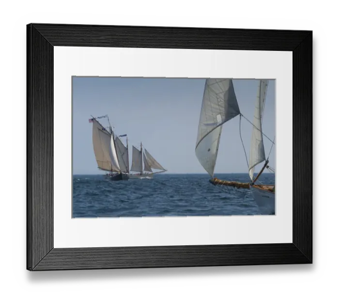 Framed Print : USA, Massachusetts, Cape Ann, Gloucester, Americas Oldest Seaport, Annual Schooner Framed Print : USA, Massachusetts, Cape Ann, Gloucester, Americas Oldest Seaport, Annual Schooner