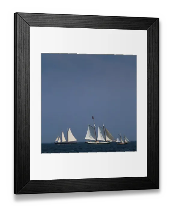 Framed Print : USA, Massachusetts, Cape Ann, Gloucester, Americas Oldest Seaport, Annual Schooner Framed Print : USA, Massachusetts, Cape Ann, Gloucester, Americas Oldest Seaport, Annual Schooner
