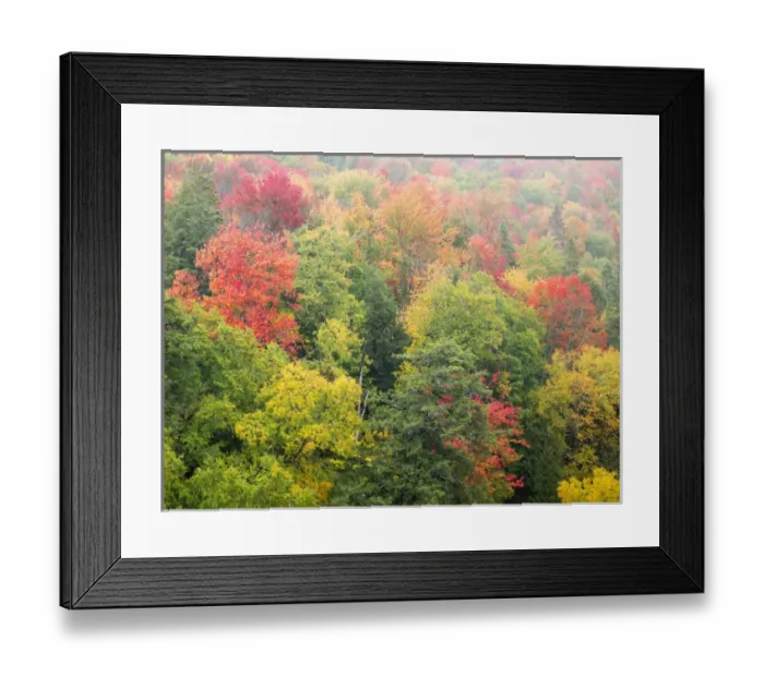 Framed Print : North America, USA, Michigan, Upper Peninsula Framed Print : North America, USA, Michigan, Upper Peninsula