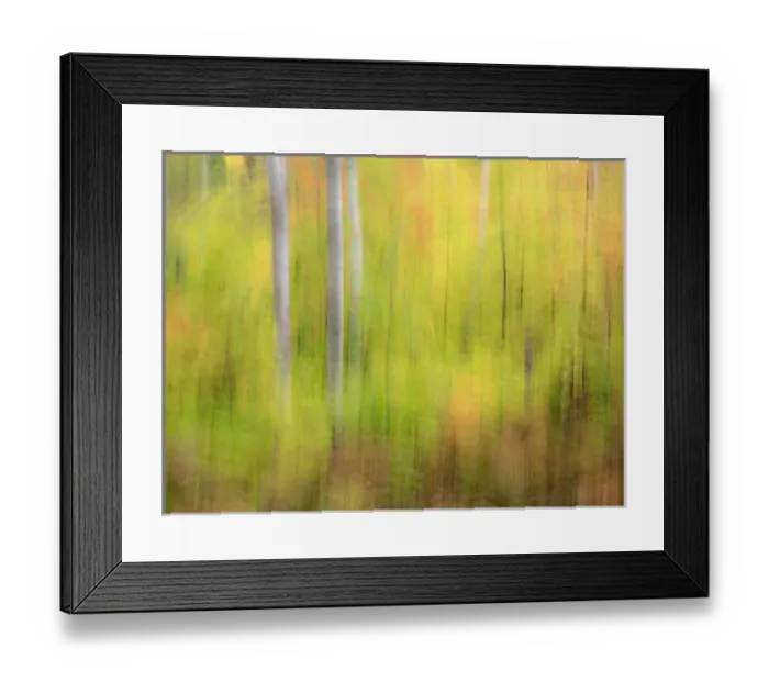 Framed Print : North America, USA, Michigan, Upper Peninsula. A panned motion blur of autumn woodland