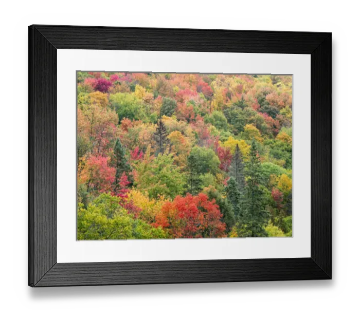 Framed Print : North America, USA, Michigan, Upper Peninsula Framed Print : North America, USA, Michigan, Upper Peninsula