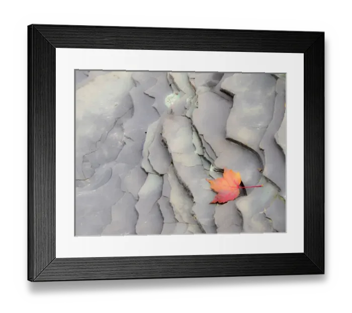 Framed Print : North America, USA, Michigan, Upper Peninsula