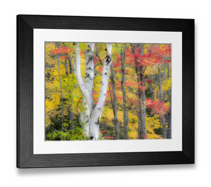 Framed Print : North America, USA, Michigan, Upper Peninsula Framed Print : North America, USA, Michigan, Upper Peninsula