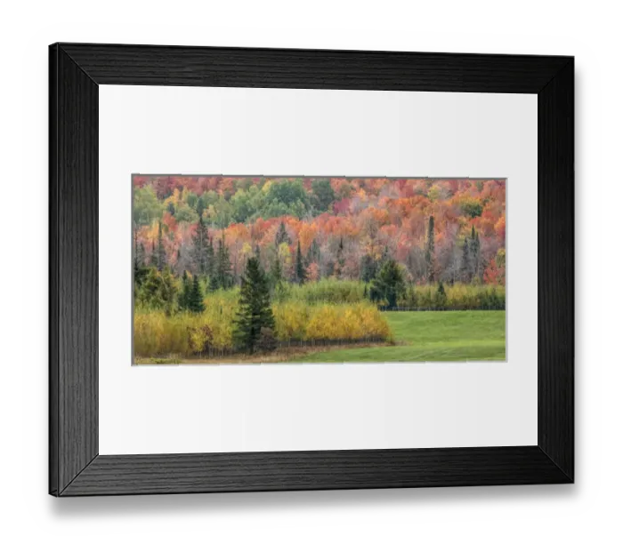 Framed Print : North America, US, Michigan, Upper Peninsula. Autumn trees along roadside Framed Print : North America, US, Michigan, Upper Peninsula. Autumn trees along roadside