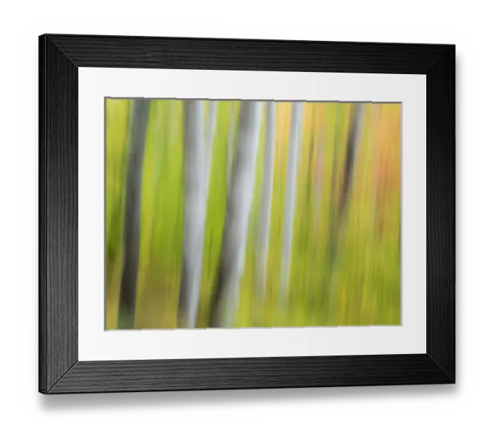 Framed Print : North America, USA, Michigan, Upper Peninsula. A panned motion blur of autumn woodland Framed Print : North America, USA, Michigan, Upper Peninsula. A panned motion blur of autumn woodland