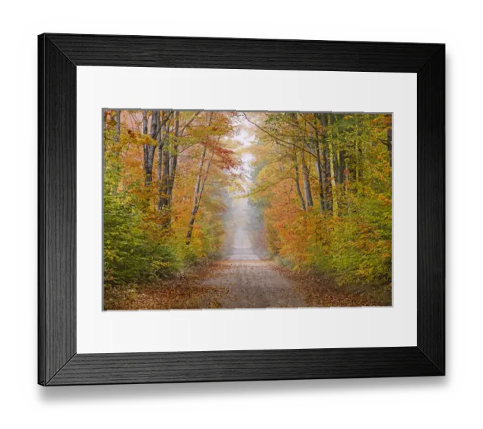 Framed Print : Road in fall color Schoolcraft County Upper Peninsula Michigan Framed Print : Road in fall color Schoolcraft County Upper Peninsula Michigan