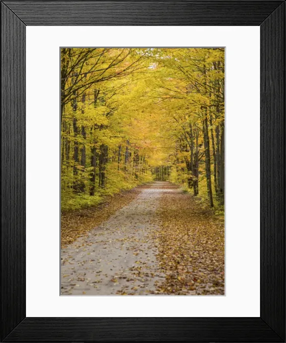 Framed Print : Road in fall color Schoolcraft County Upper Peninsula Michigan