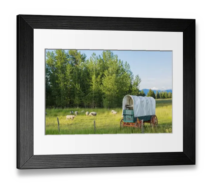 Framed Print : Bozeman Montana scenic view of sheep and stagecoach in beautiful green fields of