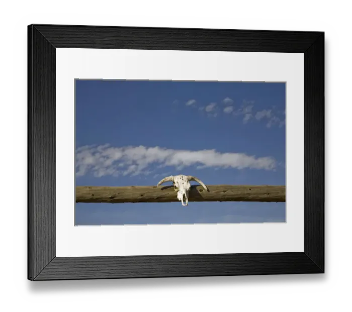 Framed Print : United States, Montana, Livingston, skull over corral gate at ranch Framed Print : United States, Montana, Livingston, skull over corral gate at ranch