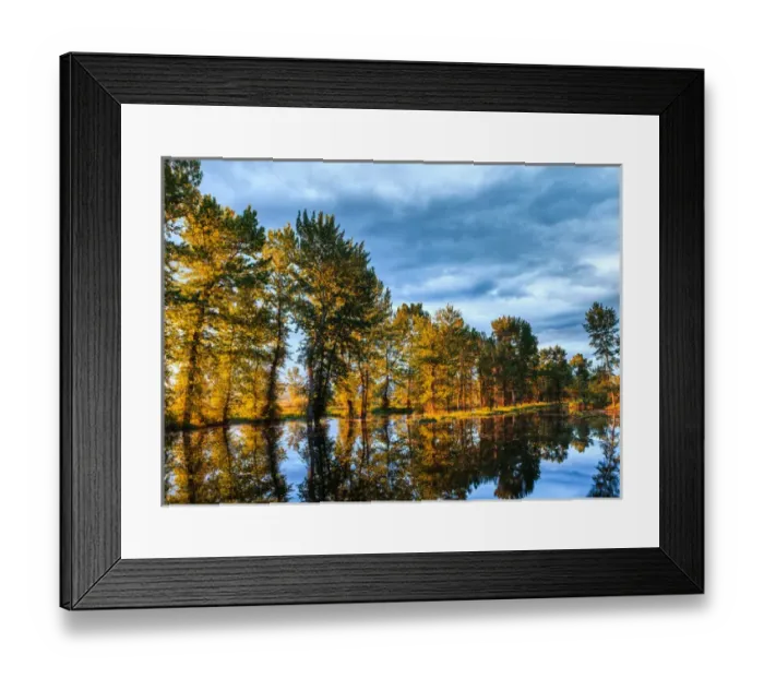 Framed Print : Sunrays shine through trees at sunrise in Western Montana Framed Print : Sunrays shine through trees at sunrise in Western Montana