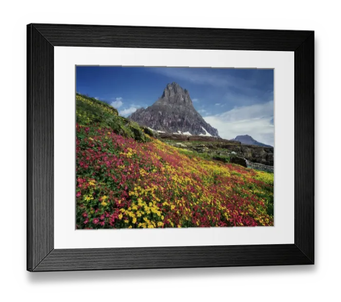 Framed Print : CTF-1474