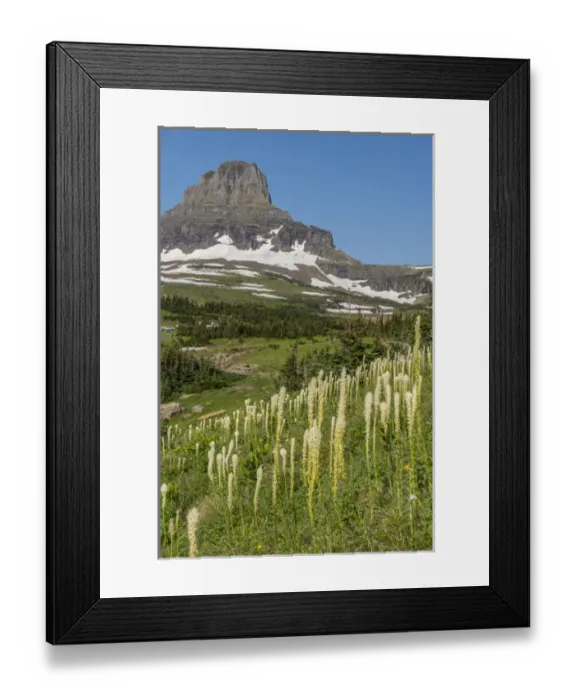 Framed Print : Clements Mountain with Beargrass, Glacier National Park Framed Print : Clements Mountain with Beargrass, Glacier National Park