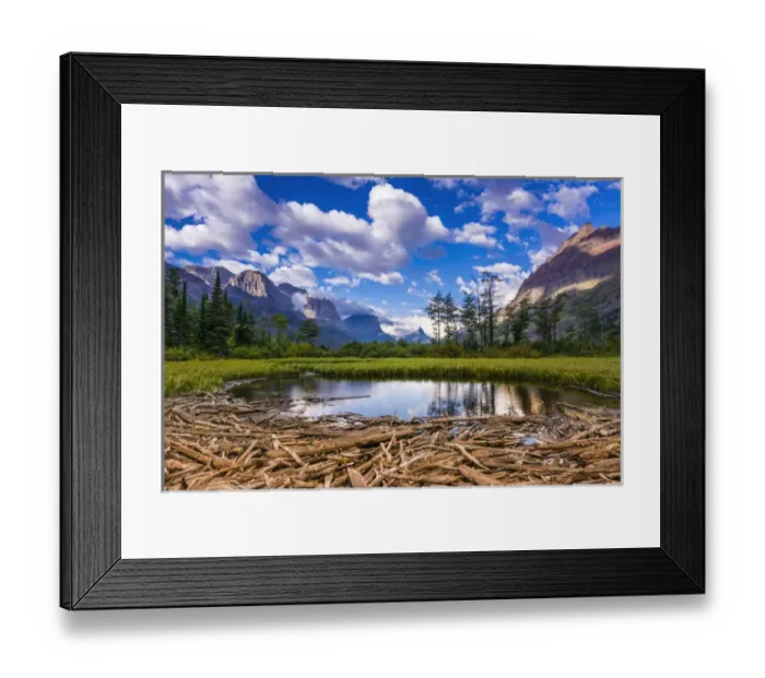 Framed Print : Driftwood and pond, Saint Mary Lake, Glacier National Park, Montana Framed Print : Driftwood and pond, Saint Mary Lake, Glacier National Park, Montana