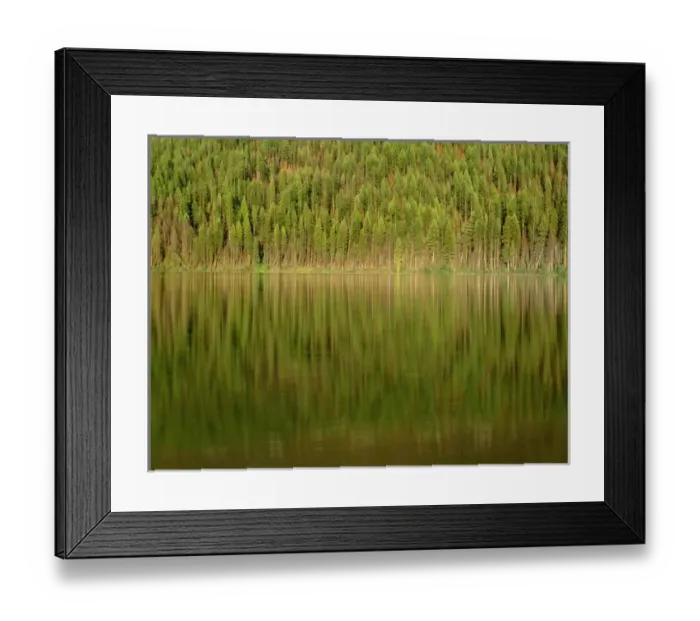 Framed Print : USA, Montana, Glacier National Park, Conifer forest reflects in Kintla Lake Framed Print : USA, Montana, Glacier National Park, Conifer forest reflects in Kintla Lake