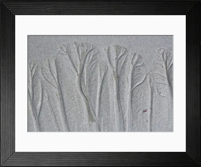 Framed Print : USA, Maine, Pine Point. Forest-like beach sand patterns Framed Print : USA, Maine, Pine Point. Forest-like beach sand patterns