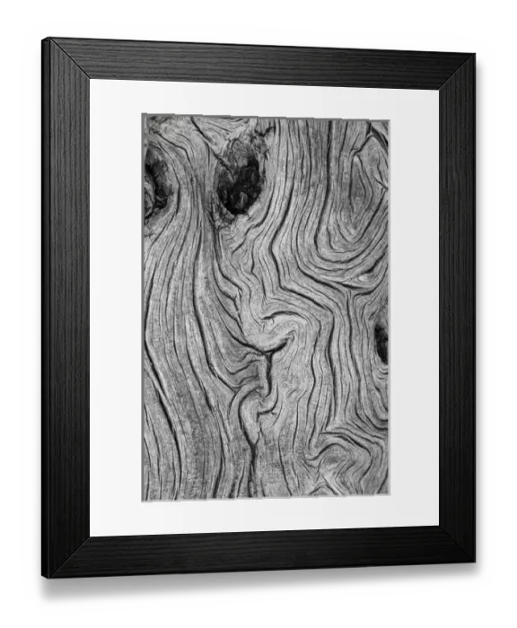 Framed Print : USA, Nevada, Great Basin National Park. Detail of weathered wood Framed Print : USA, Nevada, Great Basin National Park. Detail of weathered wood