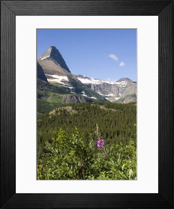 Framed Print : US, MT, Glacier NP. Many Glacier area. Vistas from Iceberg Lake trail