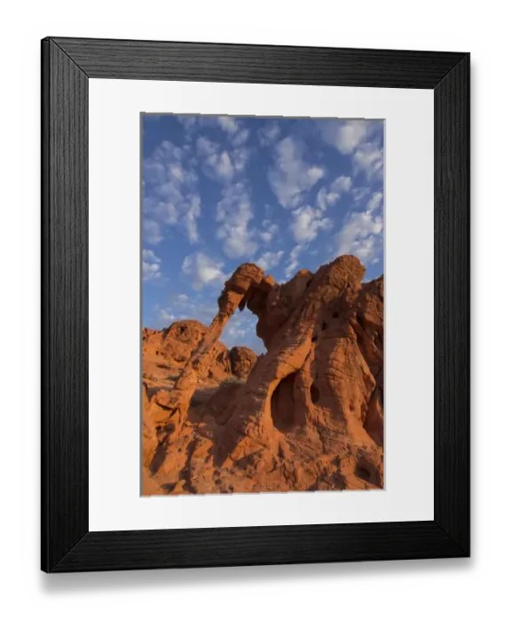 Framed Print : USA, Nevada, Clark County. Valley of Fire State Park. Elephant Rock Framed Print : USA, Nevada, Clark County. Valley of Fire State Park. Elephant Rock