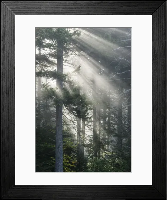Framed Print : North America, USA, New England, White Mountains National Forest