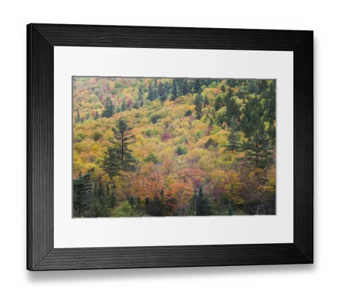 Framed Print : USA, New Hampshire, White Mountains, Crawford Notch, fall foliage by Mount Washington