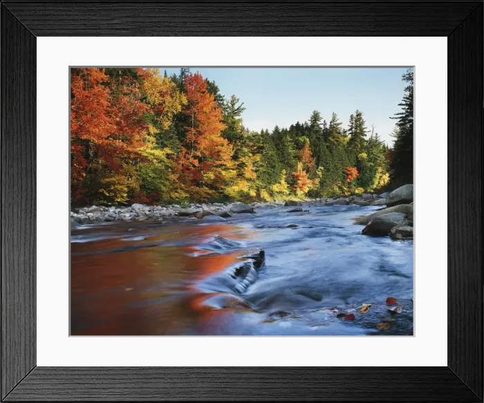 Framed Print : CTF-1437