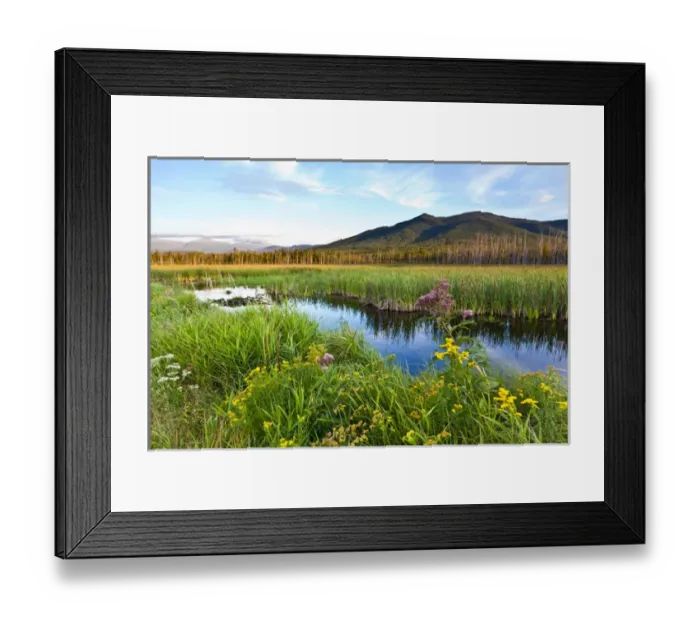 Framed Print : Cherry Mountain and the distant Presidential Range as seen from Pondicherry National Framed Print : Cherry Mountain and the distant Presidential Range as seen from Pondicherry National
