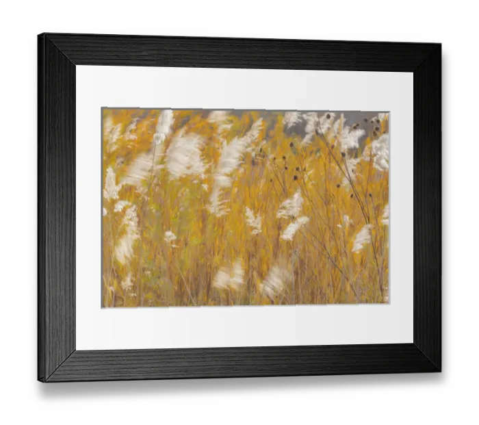 Framed Print : USA, New Mexico, Bosque del Apache National Wildlife Refuge. Blowing grasses. Credit as Framed Print : USA, New Mexico, Bosque del Apache National Wildlife Refuge. Blowing grasses. Credit as