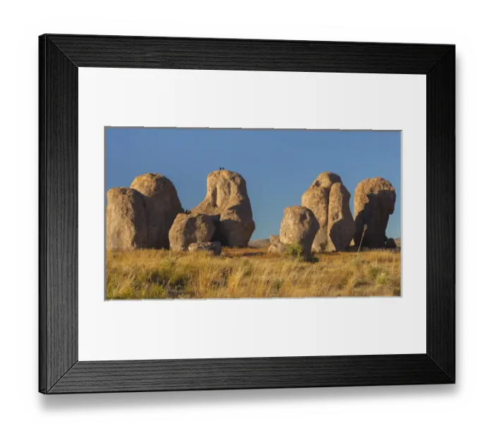Framed Print : USA, New Mexico, City of Rocks State Park Framed Print : USA, New Mexico, City of Rocks State Park